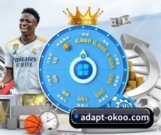 adapt-okoo.com APP 深度功能（aoko）